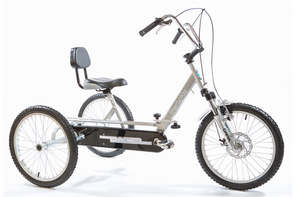 Theraplay Tracker T5 20 Trike