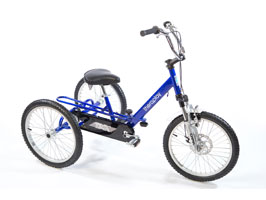 Theraplay TMX T5 Tricycle