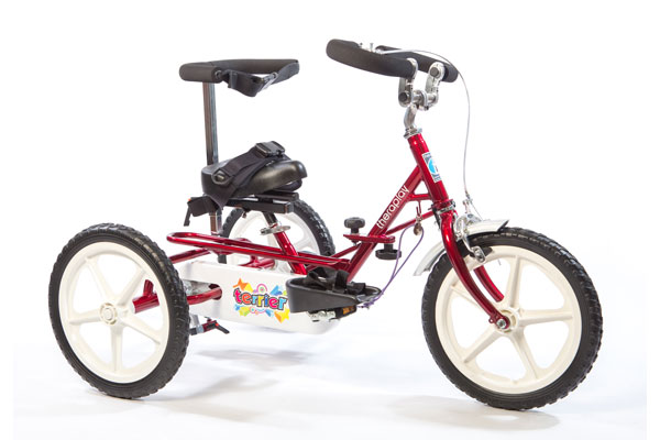 Theraplay Terrier Trike