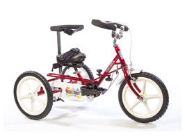 Theraplay Terrier Trike