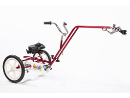 Theraplay Terrier Hitch Trike